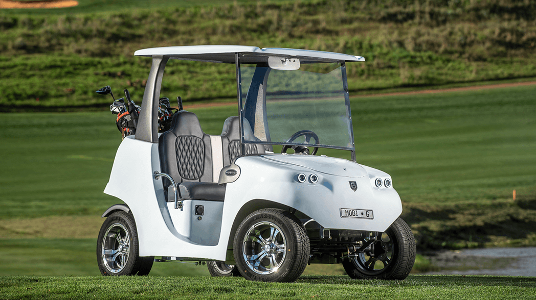 Mobi•G Golfer